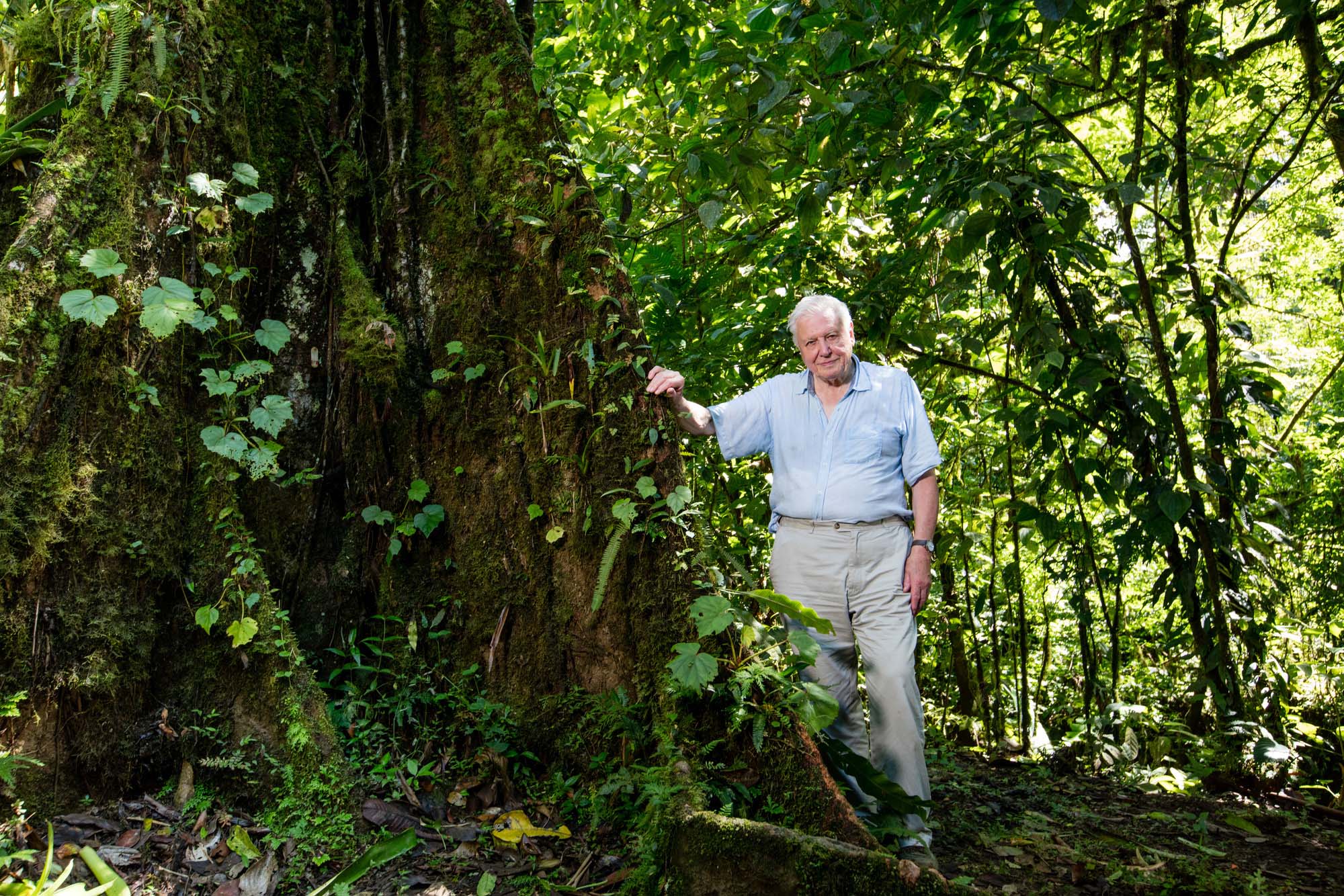 How a Triffid captured The Green Planet - TVBEurope