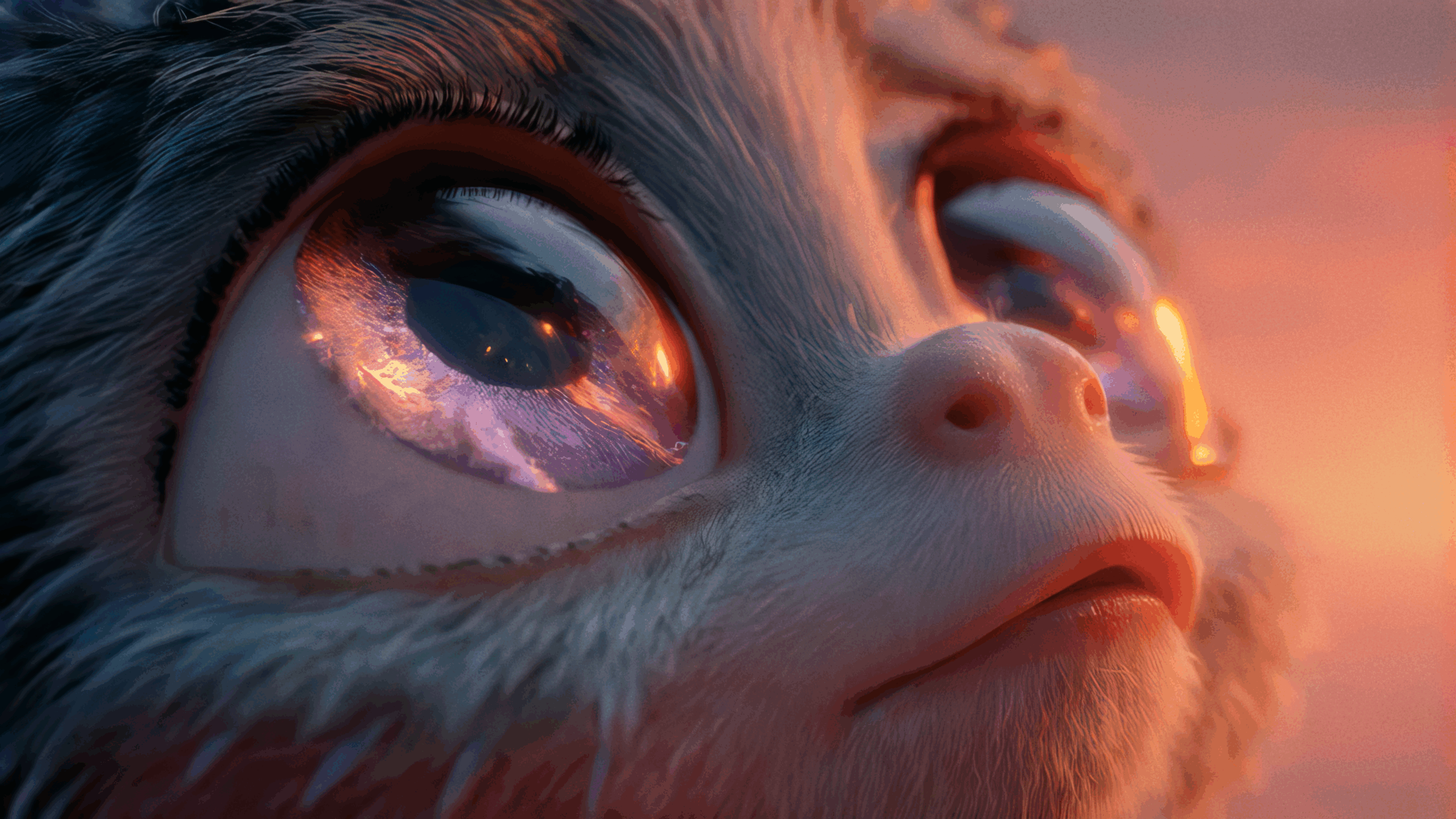 Adobe and Luma AI partner on generative video model launch - TVBEurope